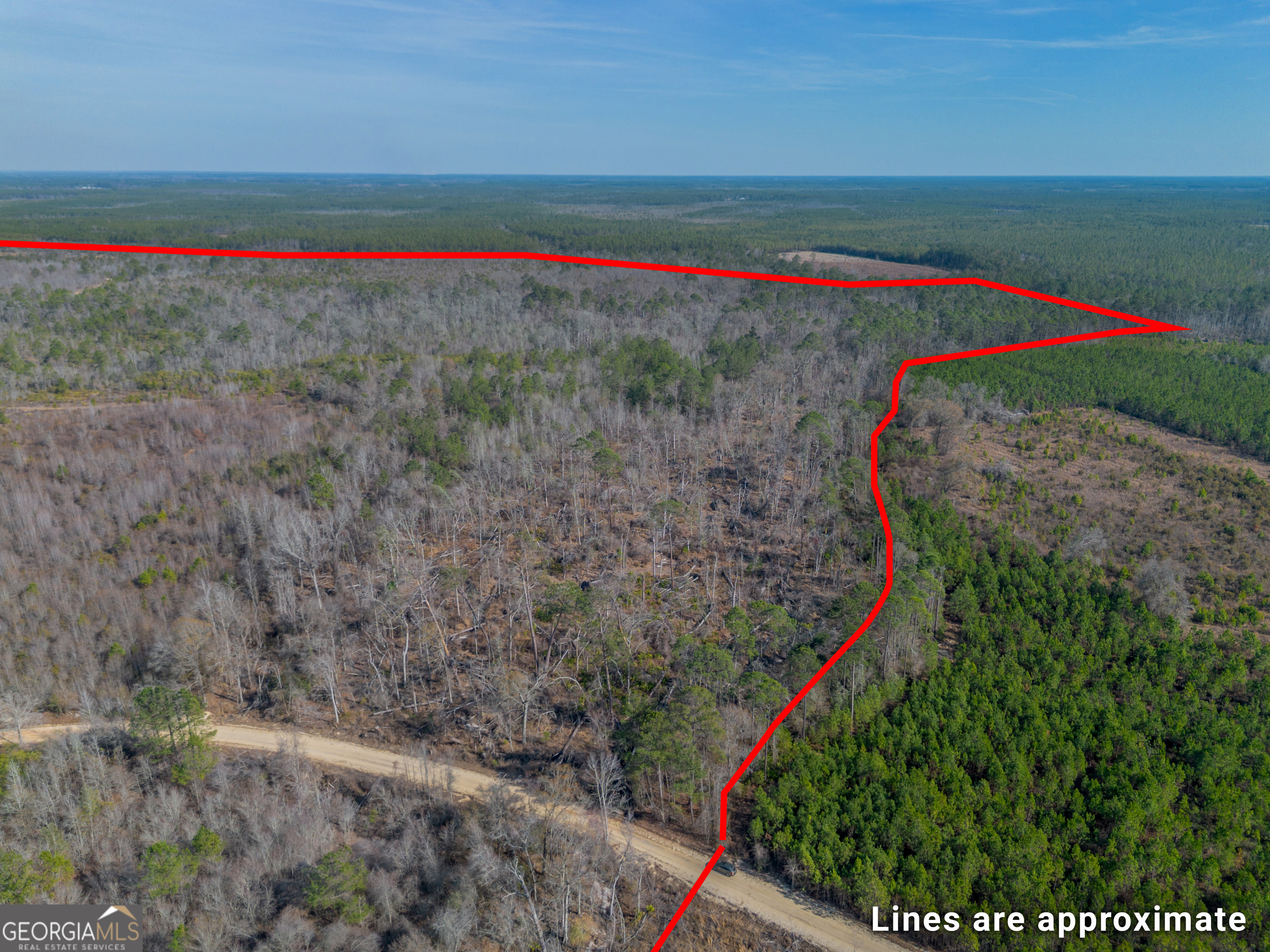 0 Banner Road Waycross, GA 31503 - Photo 3 of 43