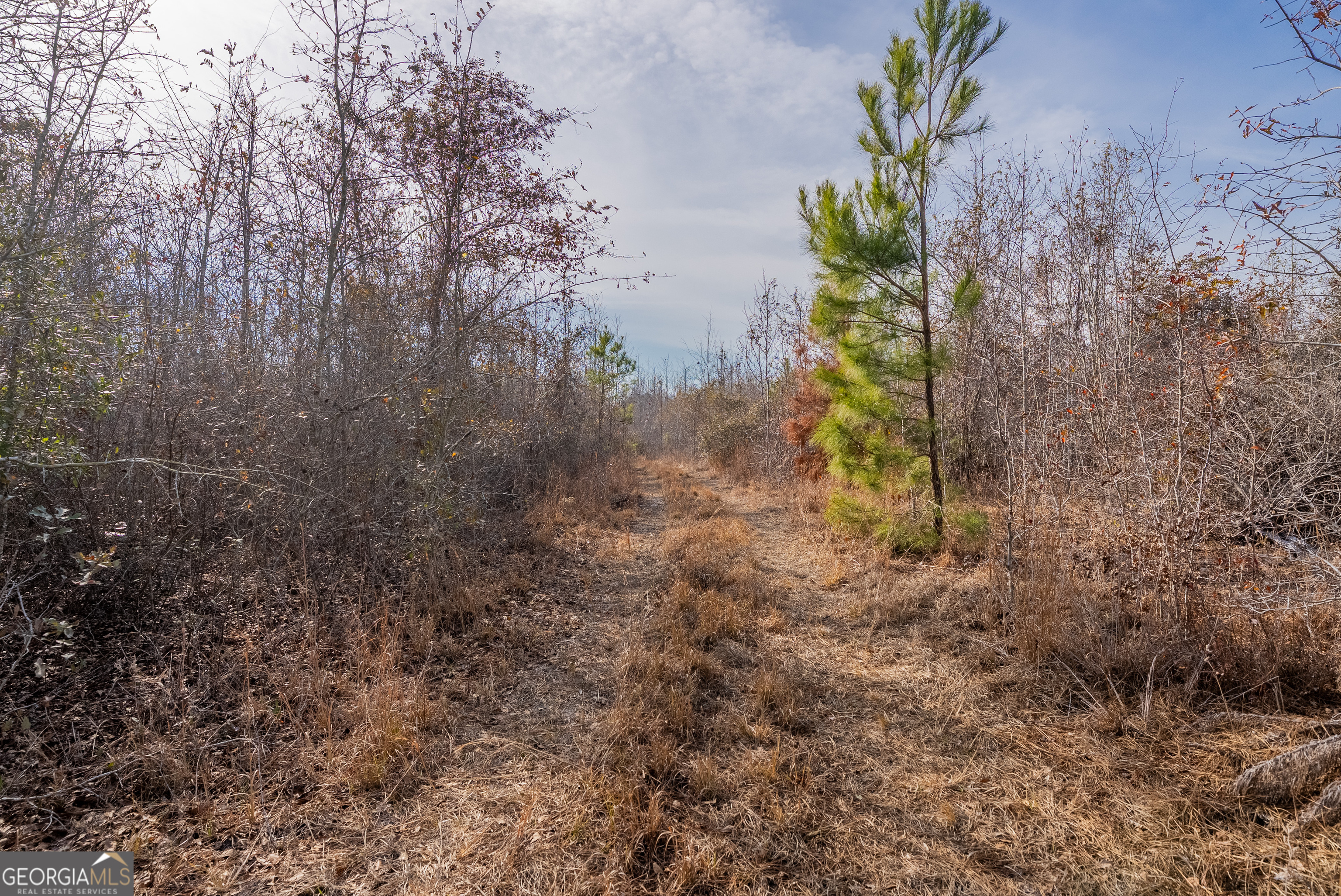 0 Banner Road Waycross, GA 31503 - Photo 34 of 43