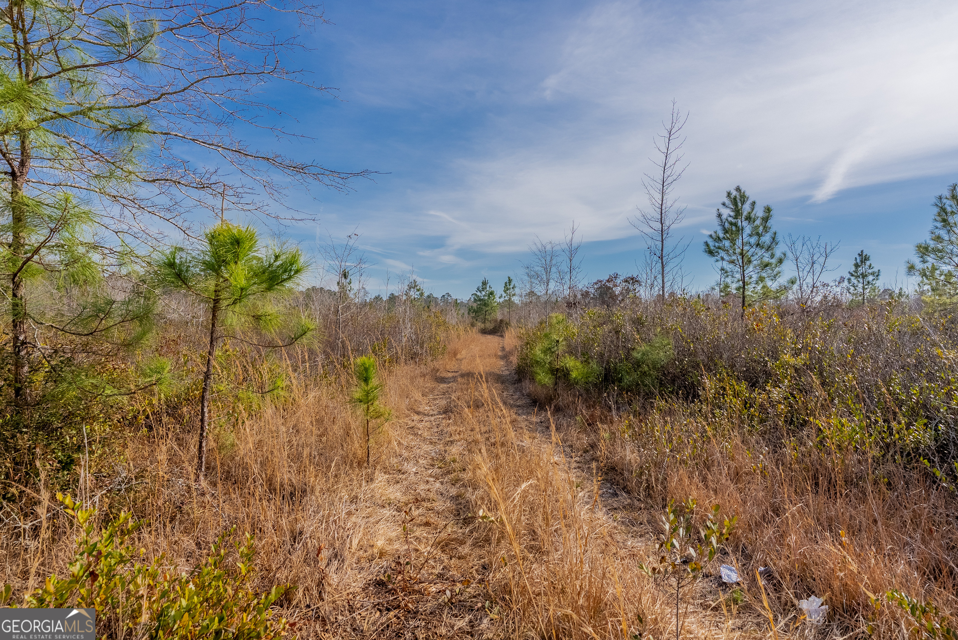 0 Banner Road Waycross, GA 31503 - Photo 35 of 43