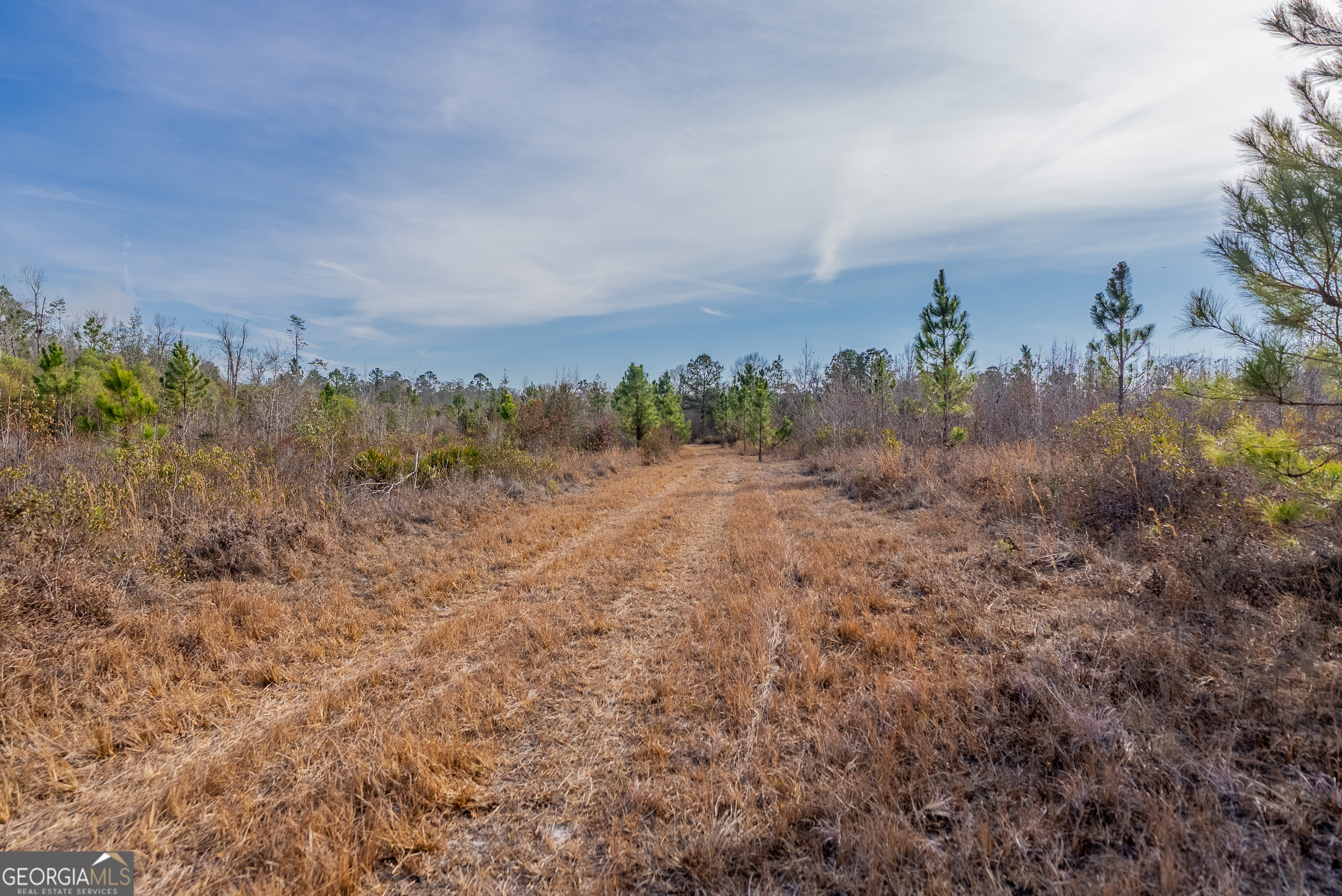 0 Banner Road Waycross, GA 31503 - Photo 36 of 43