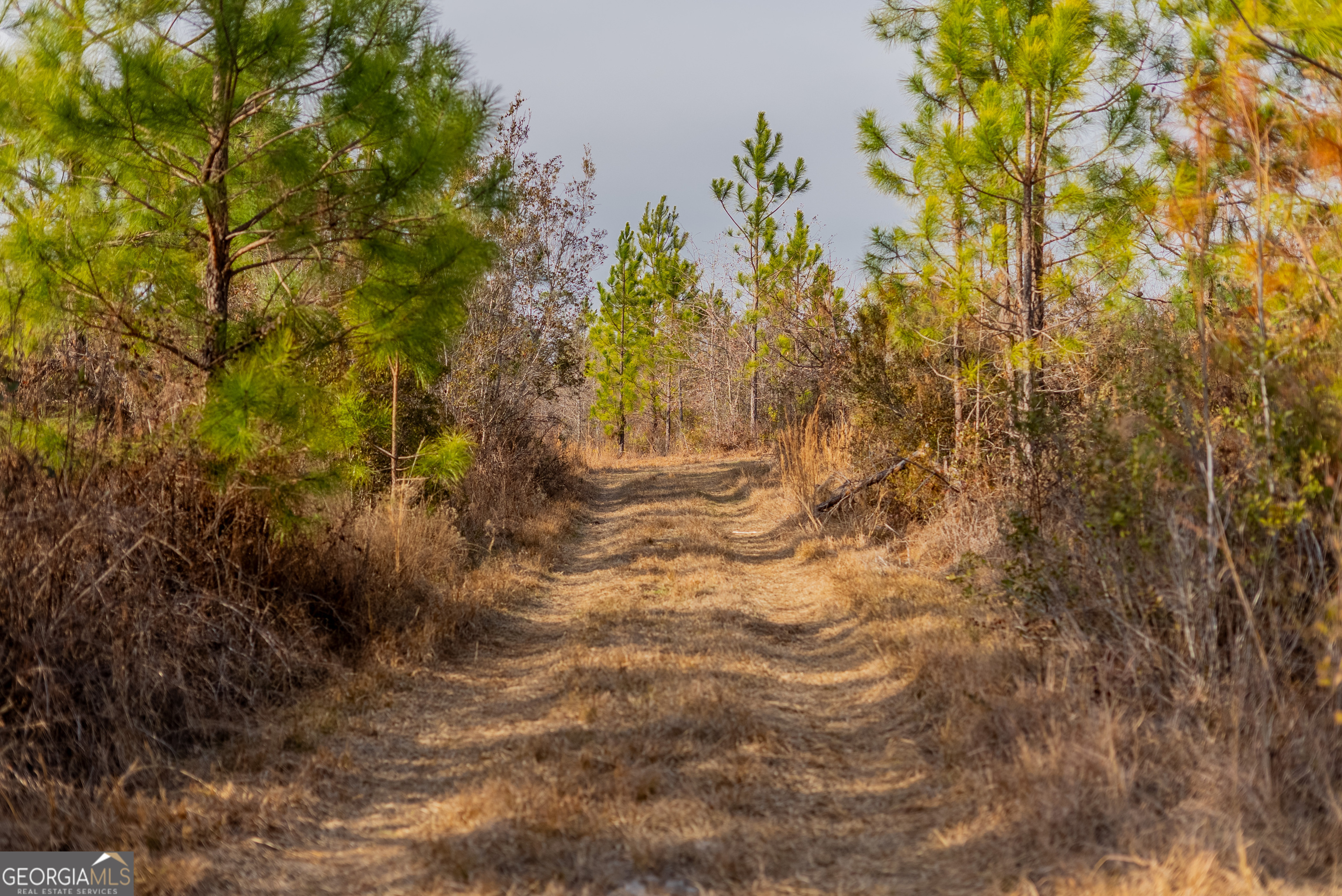 0 Banner Road Waycross, GA 31503 - Photo 43 of 43