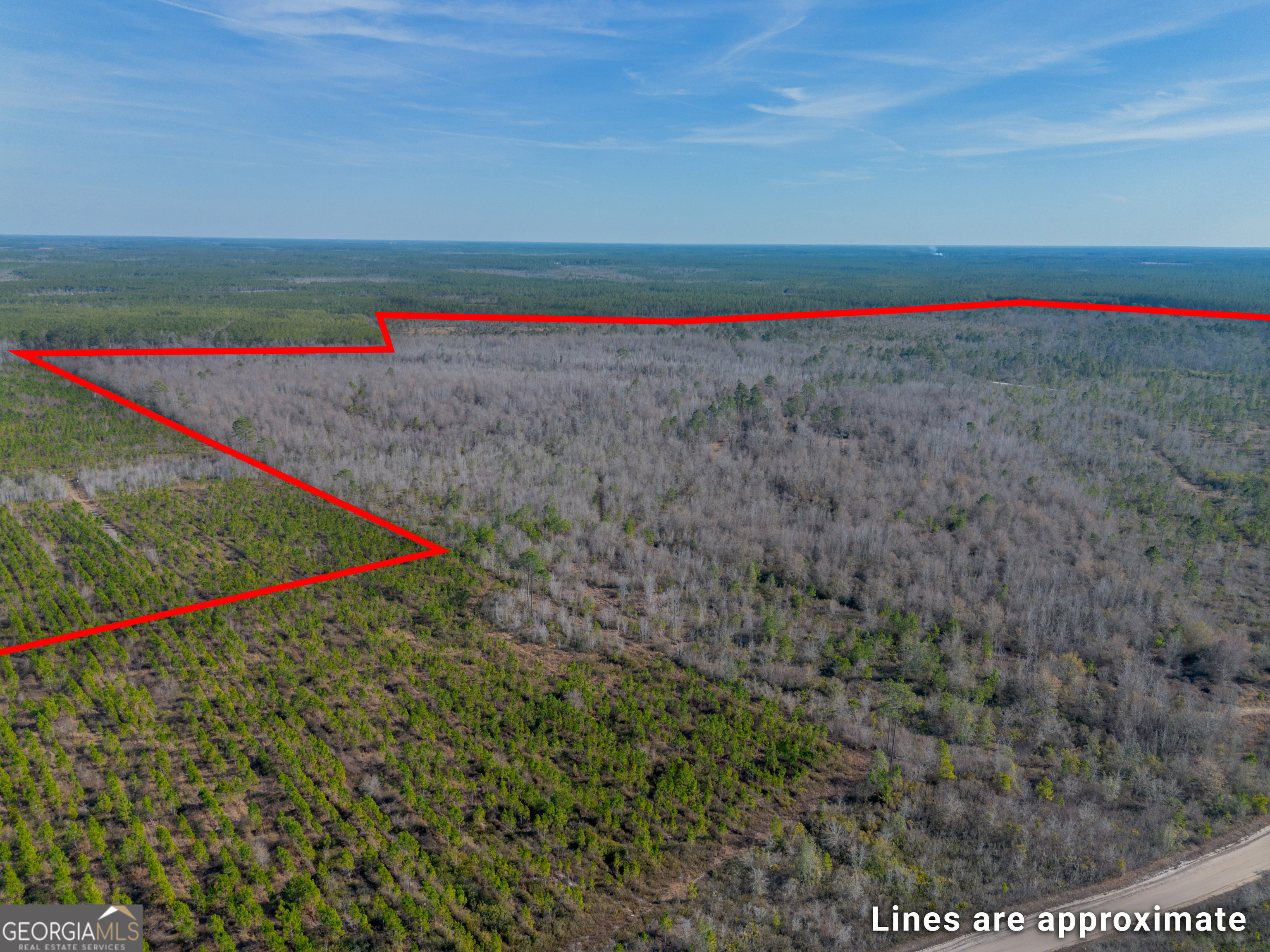 0 Banner Road Waycross, GA 31503 - Photo 5 of 43