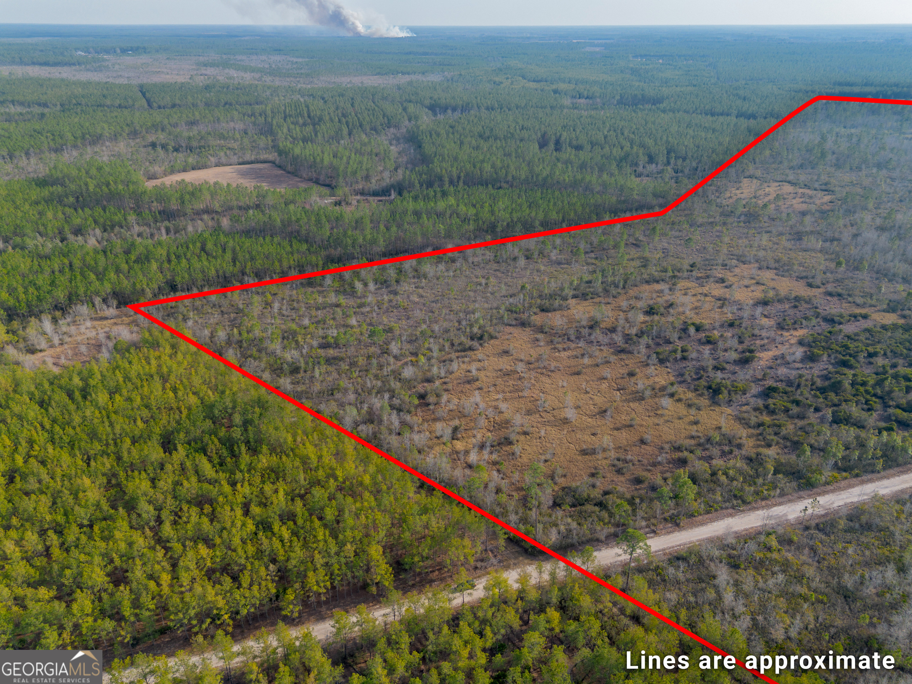 0 Banner Road Waycross, GA 31503 - Photo 8 of 43