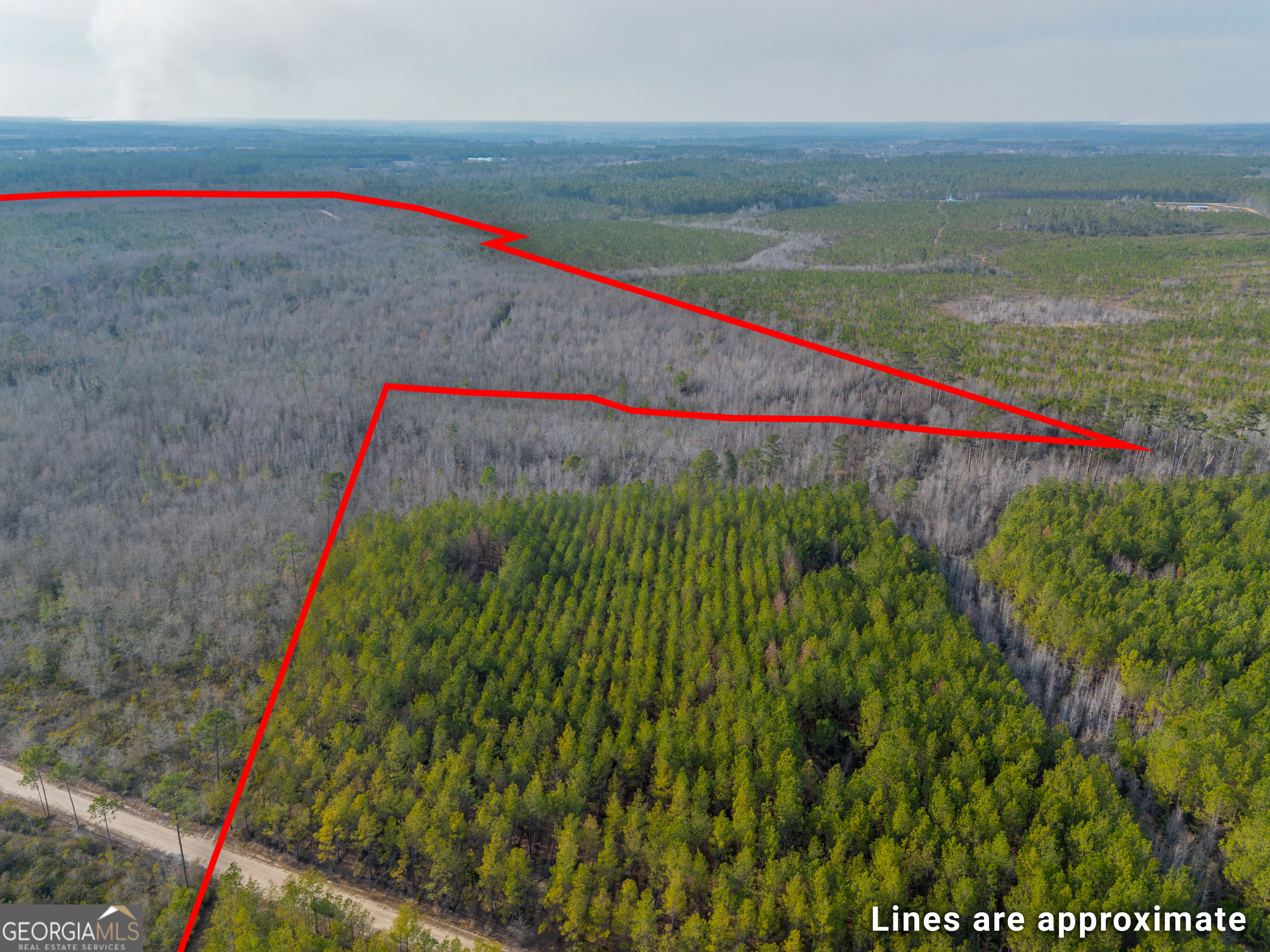 0 Banner Road Waycross, GA 31503 - Photo 9 of 43