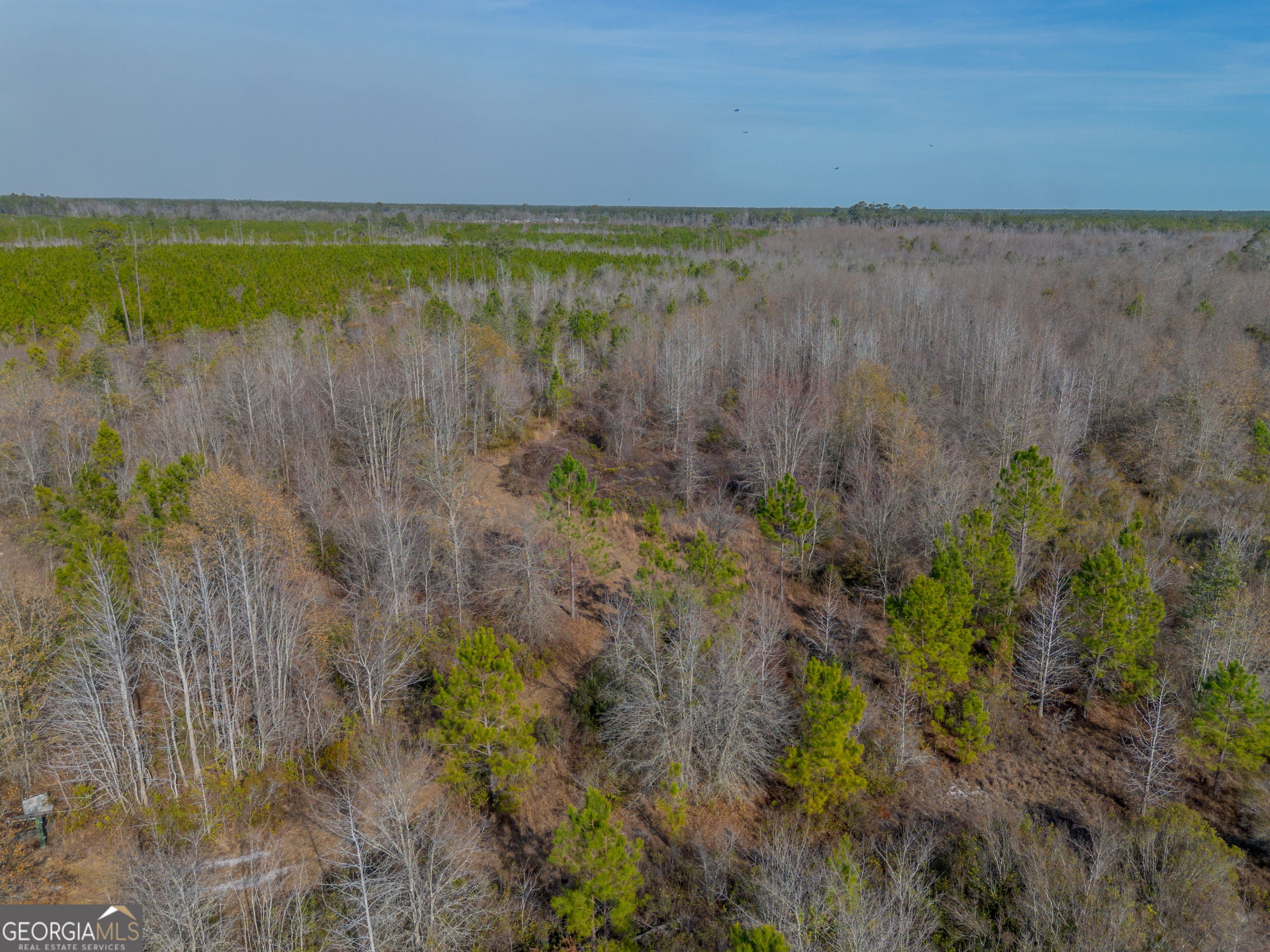 0 Banner Road Waycross, GA 31503 - Photo 10 of 43