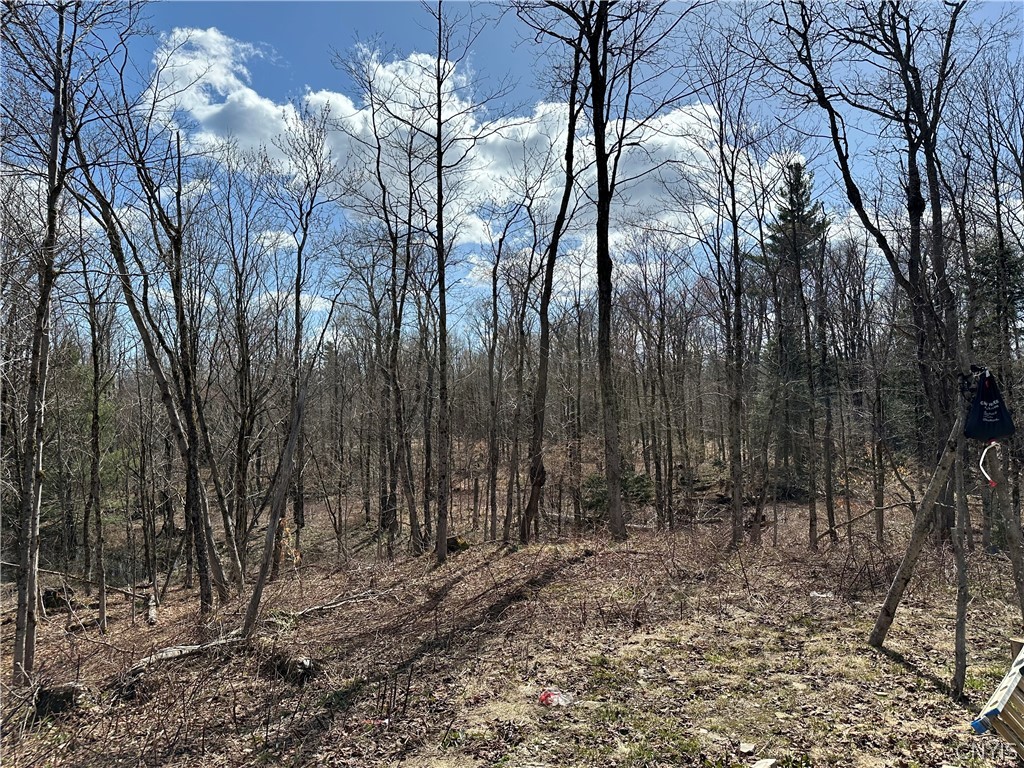 1950 Pitcher Road Montague, NY 13367 - Photo 15 of 18