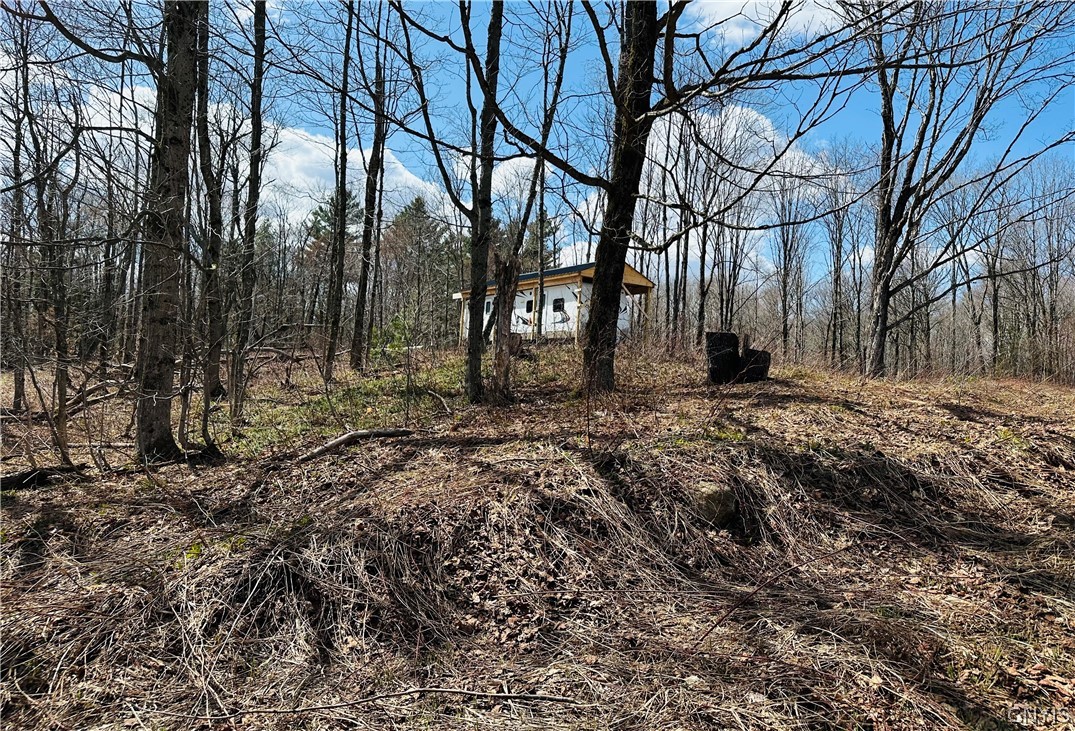 1950 Pitcher Road Montague, NY 13367 - Photo 16 of 18
