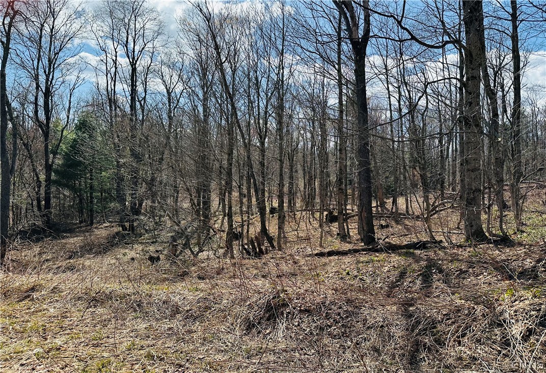 1950 Pitcher Road Montague, NY 13367 - Photo 17 of 18