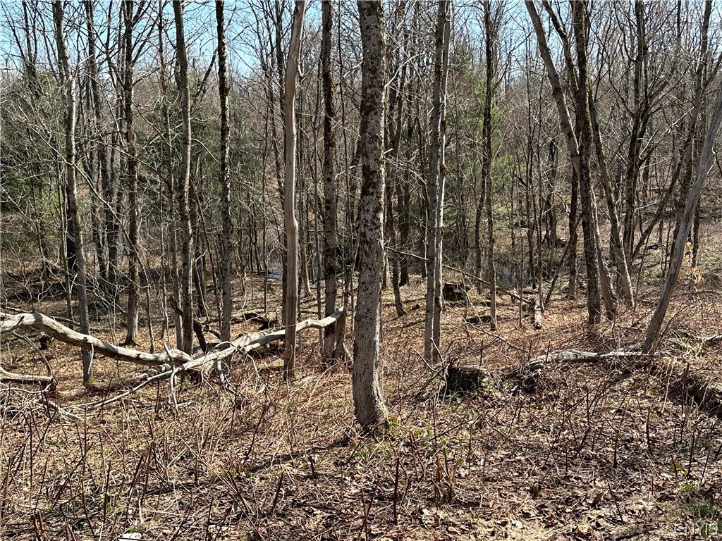 1950 Pitcher Road Montague, NY 13367 - Photo 18 of 18
