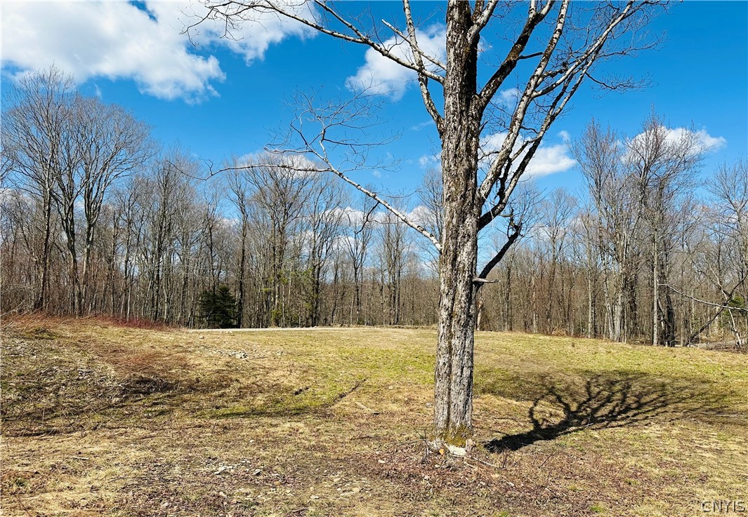 1950 Pitcher Road Montague, NY 13367 - Photo 5 of 18