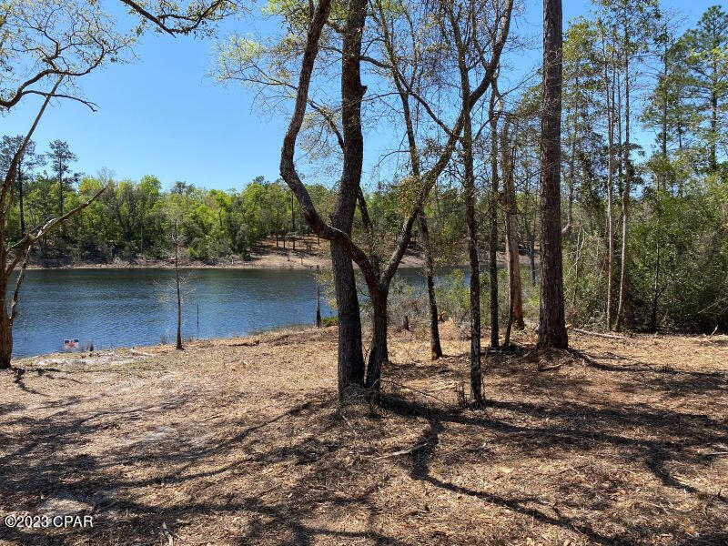 0 Holmes Valley Road Vernon, FL 32462 - Photo 4 of 8