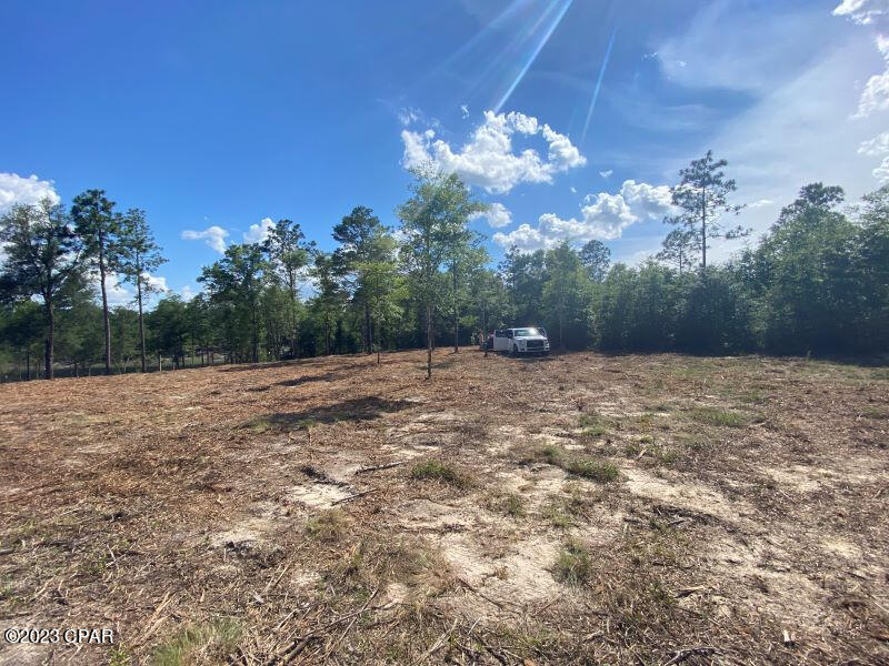 0 Holmes Valley Road Vernon, FL 32462 - Photo 5 of 8