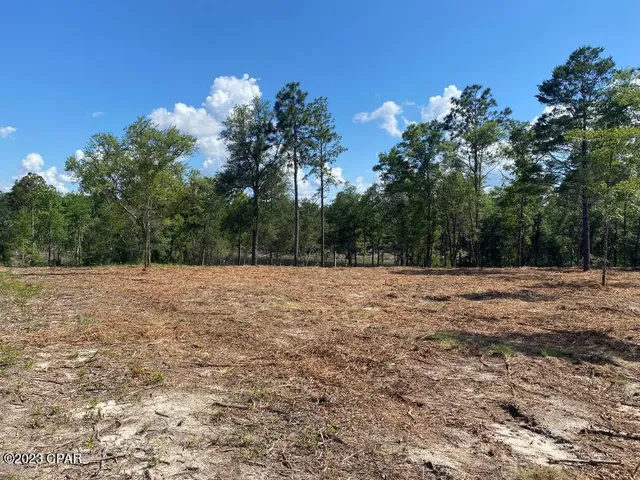 $265,000 | 0 Holmes Valley Road, Vernon, FL 32462