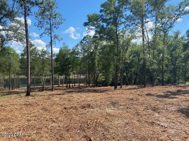 $265,000 | 0 Holmes Valley Road, Vernon, FL 32462