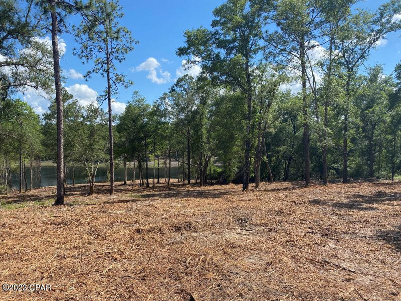 0 Holmes Valley Road Vernon, FL 32462 - Photo 7 of 8