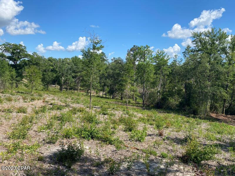 0 Holmes Valley Road Vernon, FL 32462 - Photo 8 of 8