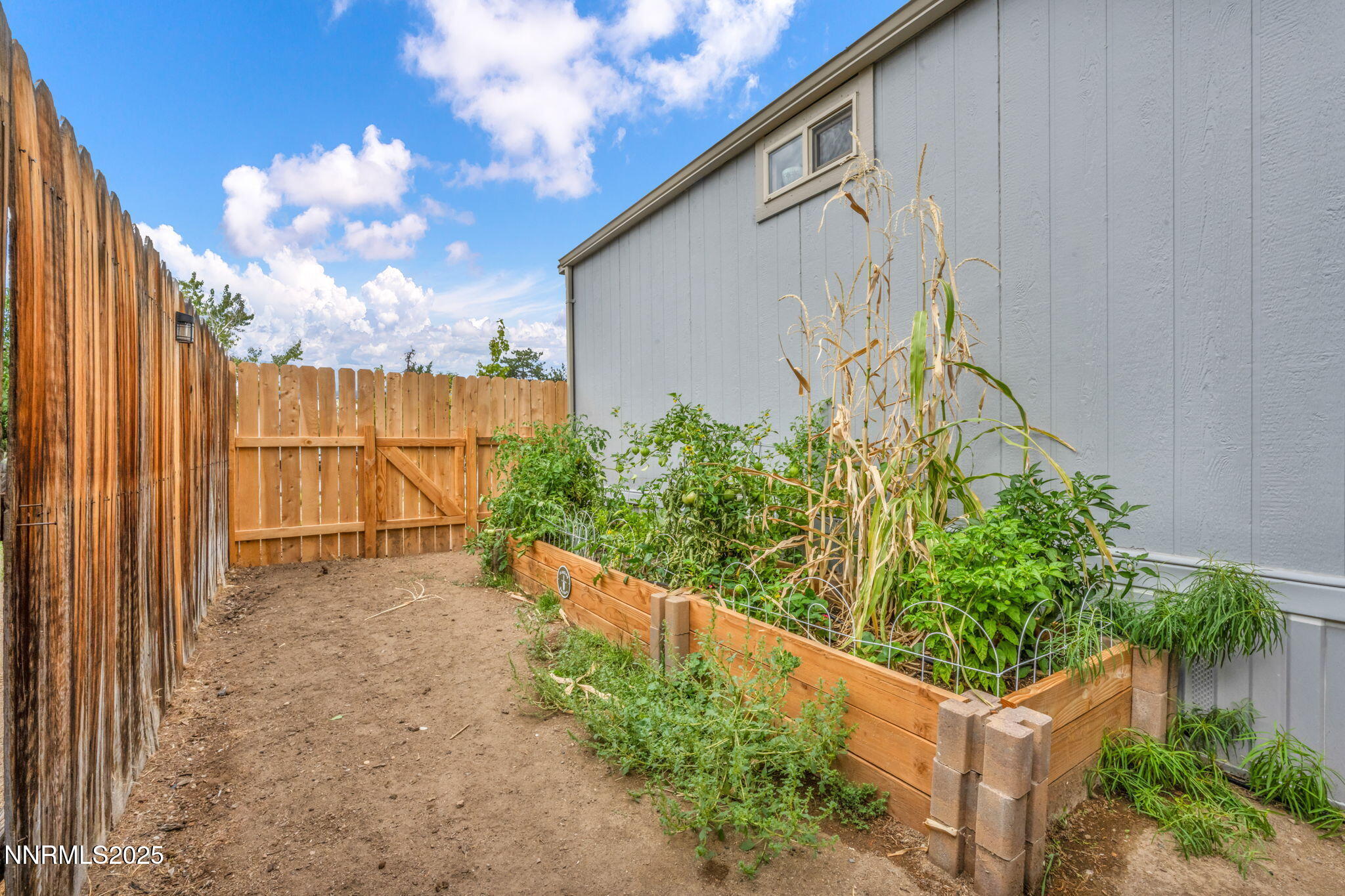 16260 Rhyolite Circle Reno, NV 89521 - Photo 15 of 18 a backyard of a house with lots of green space