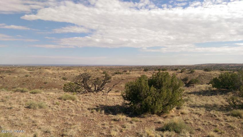 St-johns Az 85936 Ranch Eagar, AZ 85925 - Photo 2 of 2