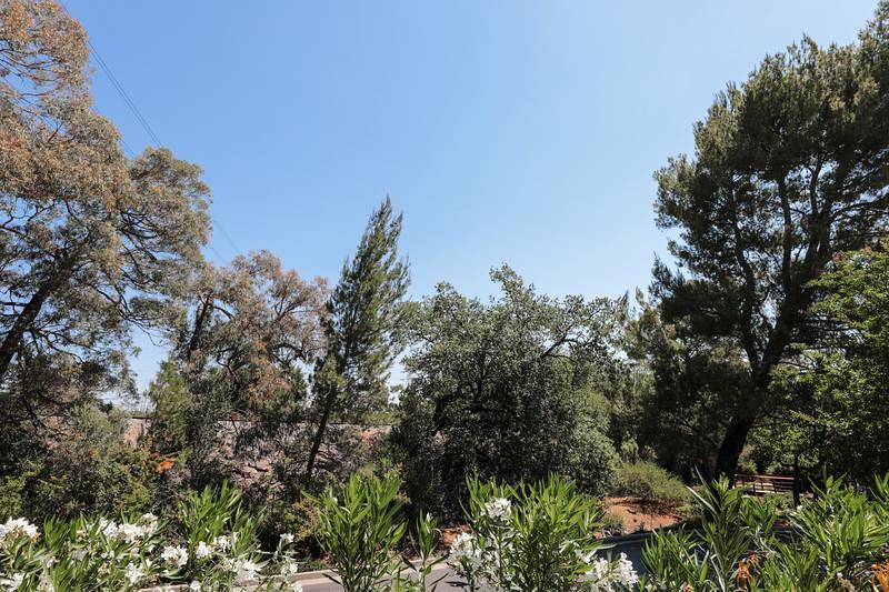 23030 Stonebridge Cupertino, CA 95014 - Photo 8 of 14 a view of a tree