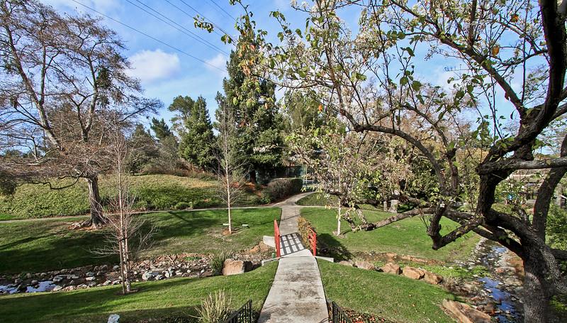 23030 Stonebridge Cupertino, CA 95014 - Photo 9 of 14 a garden view with a fountain