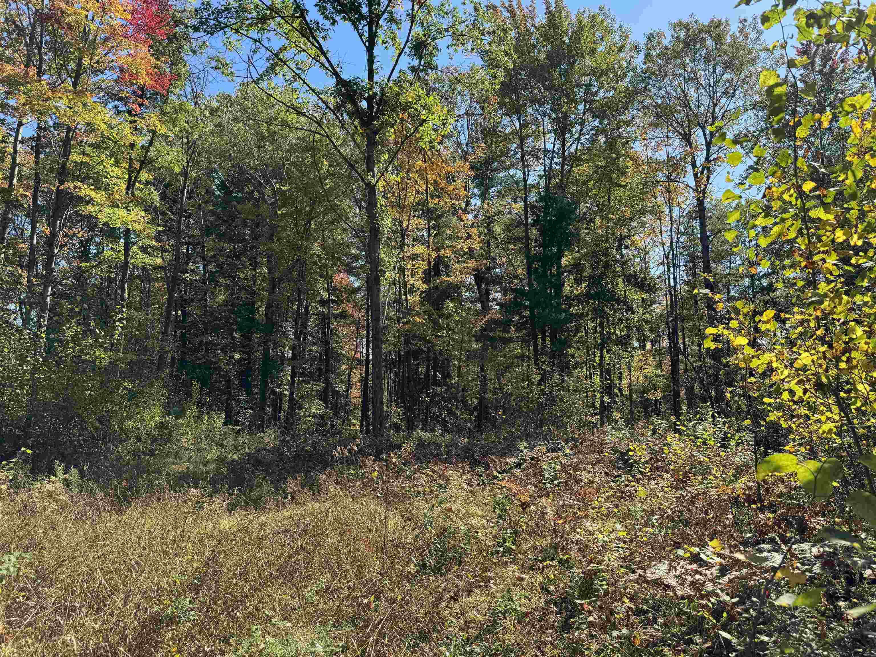 0 Cranberry Lake Road Prescott, MI 48756 - Photo 6 of 17 Gallery Image 6