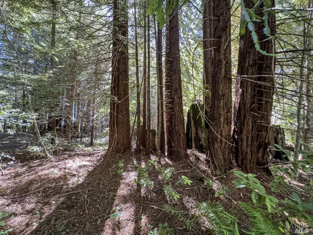 $169,000 | 42180 Deer Trail, The Sea Ranch, CA 95497