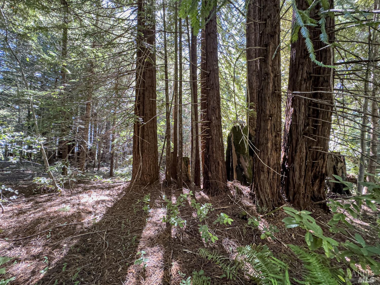 42180 Deer Trail The Sea Ranch, CA 95497 - Photo 1 of 35