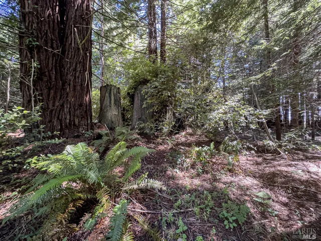 $169,000 | 42180 Deer Trail, The Sea Ranch, CA 95497
