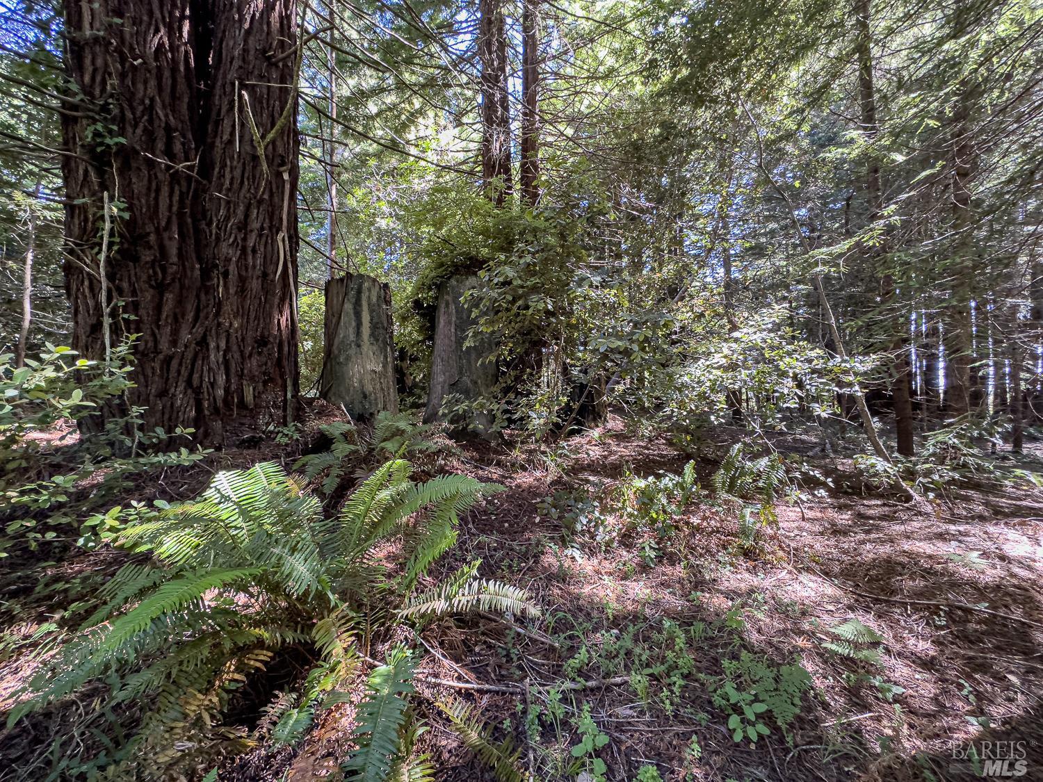 42180 Deer Trail The Sea Ranch, CA 95497 - Photo 12 of 35