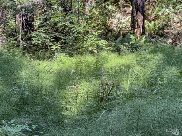 $169,000 | 42180 Deer Trail, The Sea Ranch, CA 95497