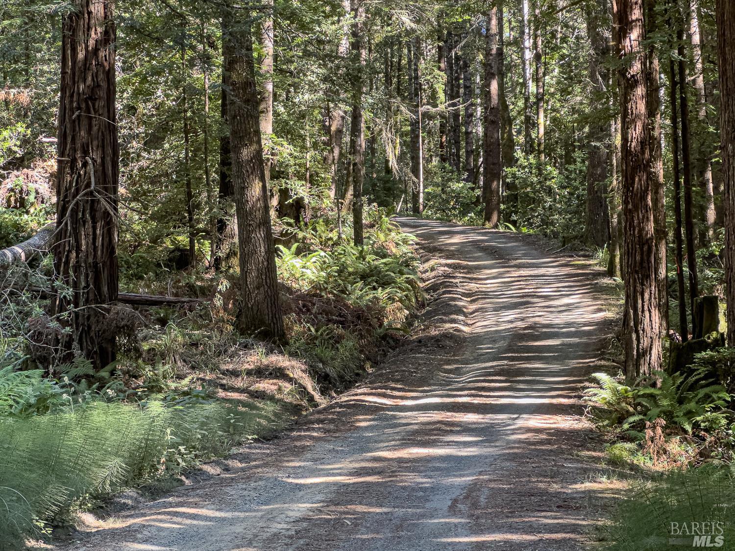 42180 Deer Trail The Sea Ranch, CA 95497 - Photo 15 of 35