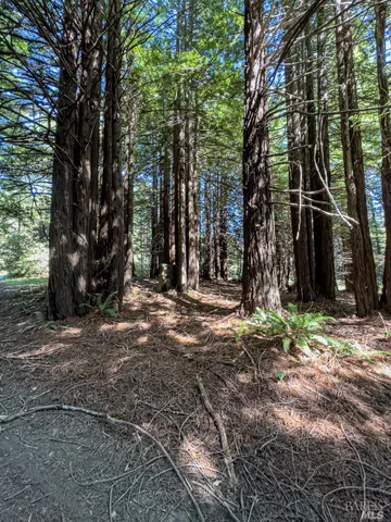 $169,000 | 42180 Deer Trail, The Sea Ranch, CA 95497