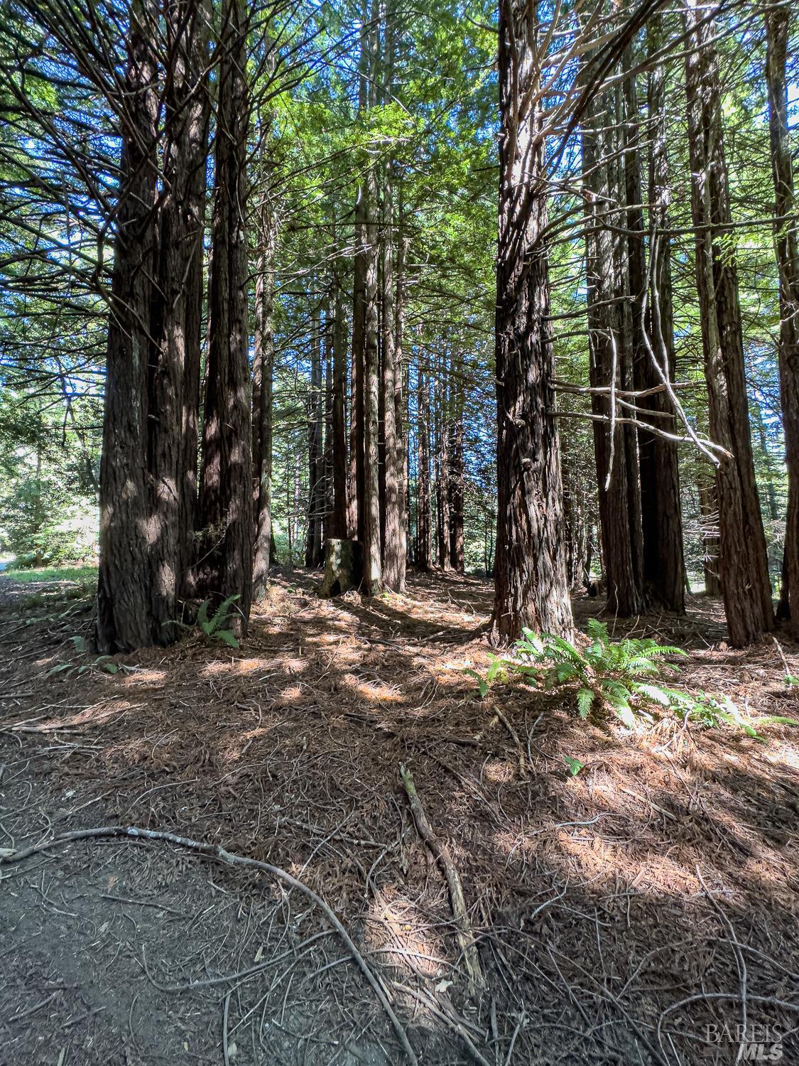 42180 Deer Trail The Sea Ranch, CA 95497 - Photo 16 of 35