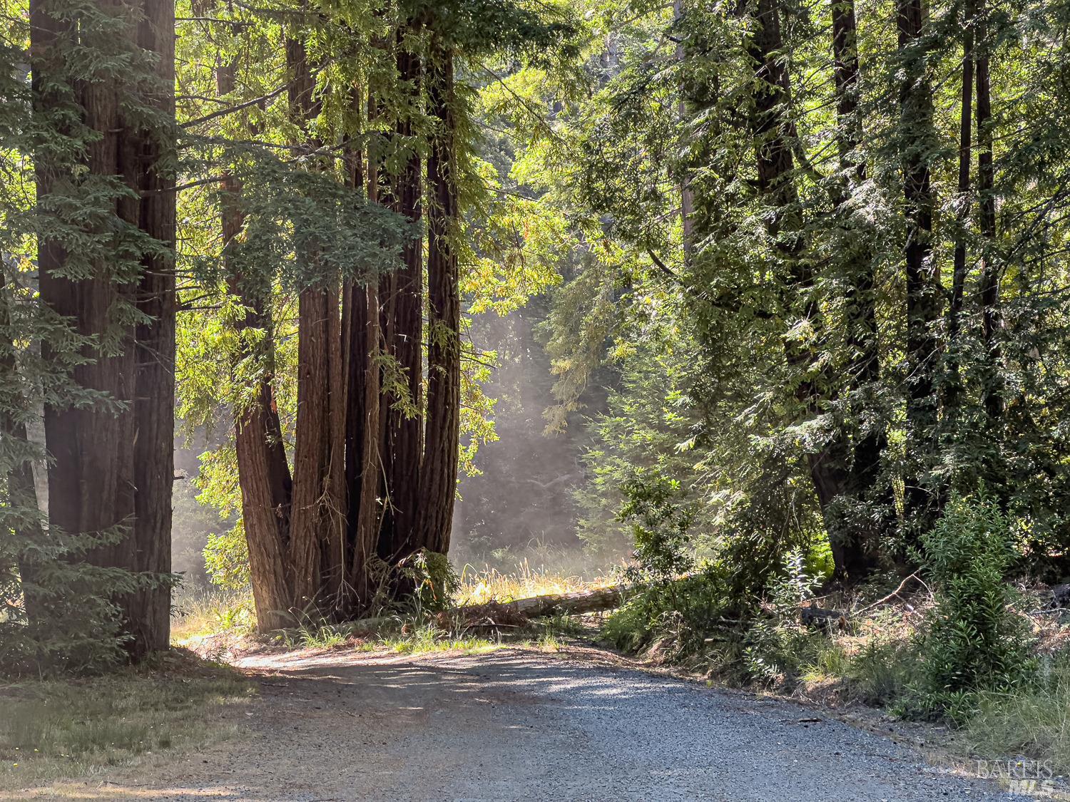 42180 Deer Trail The Sea Ranch, CA 95497 - Photo 17 of 35