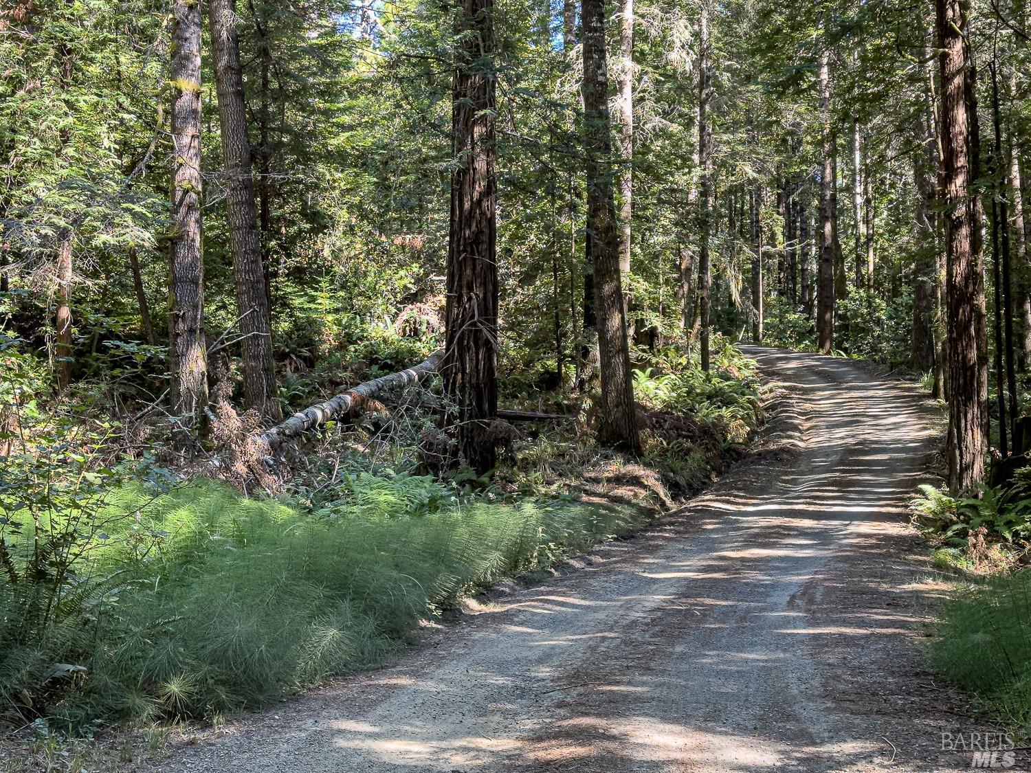 42180 Deer Trail The Sea Ranch, CA 95497 - Photo 18 of 35