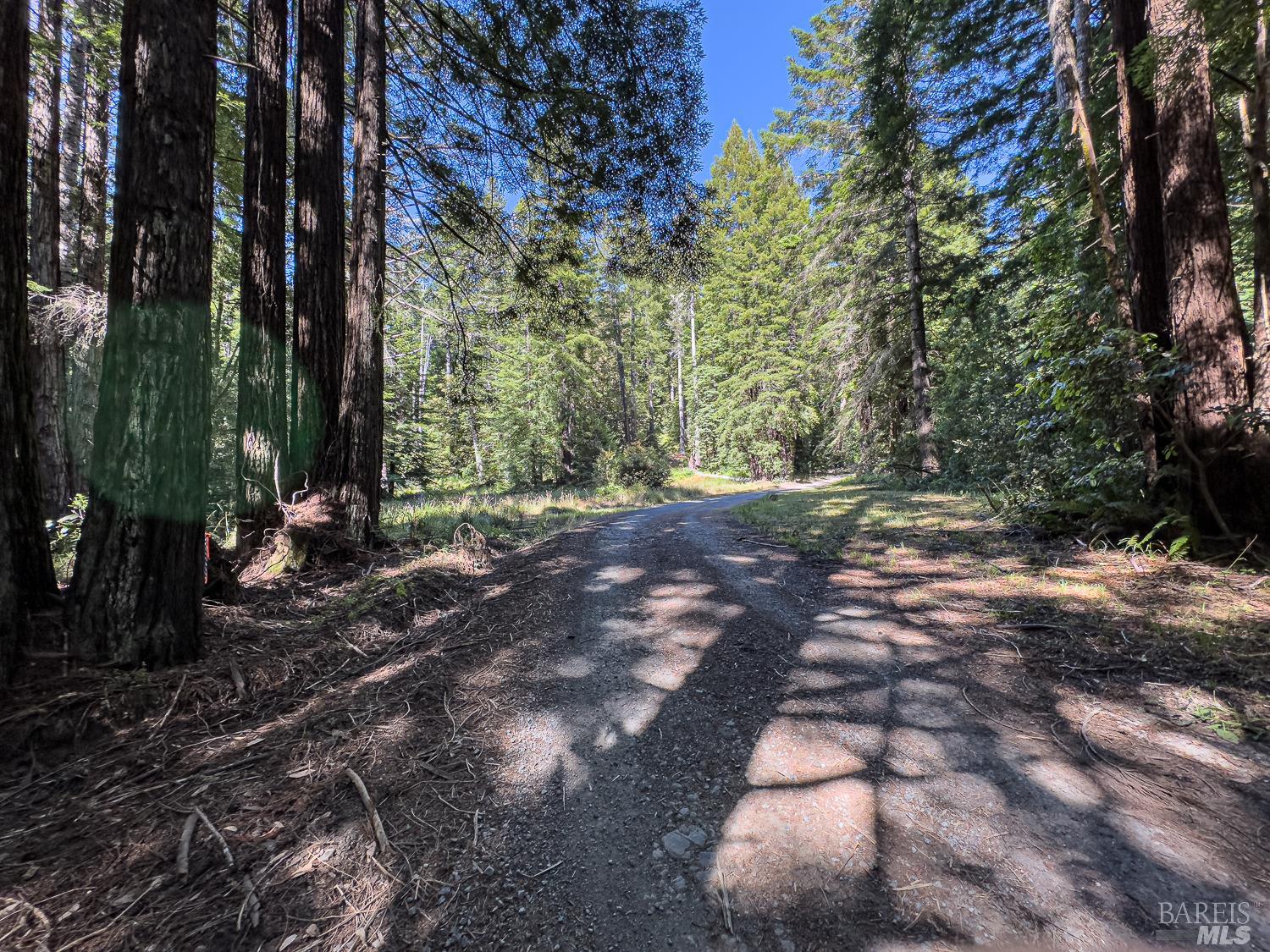 42180 Deer Trail The Sea Ranch, CA 95497 - Photo 20 of 35