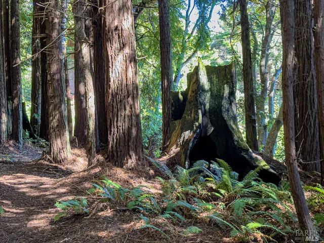 $169,000 | 42180 Deer Trail, The Sea Ranch, CA 95497