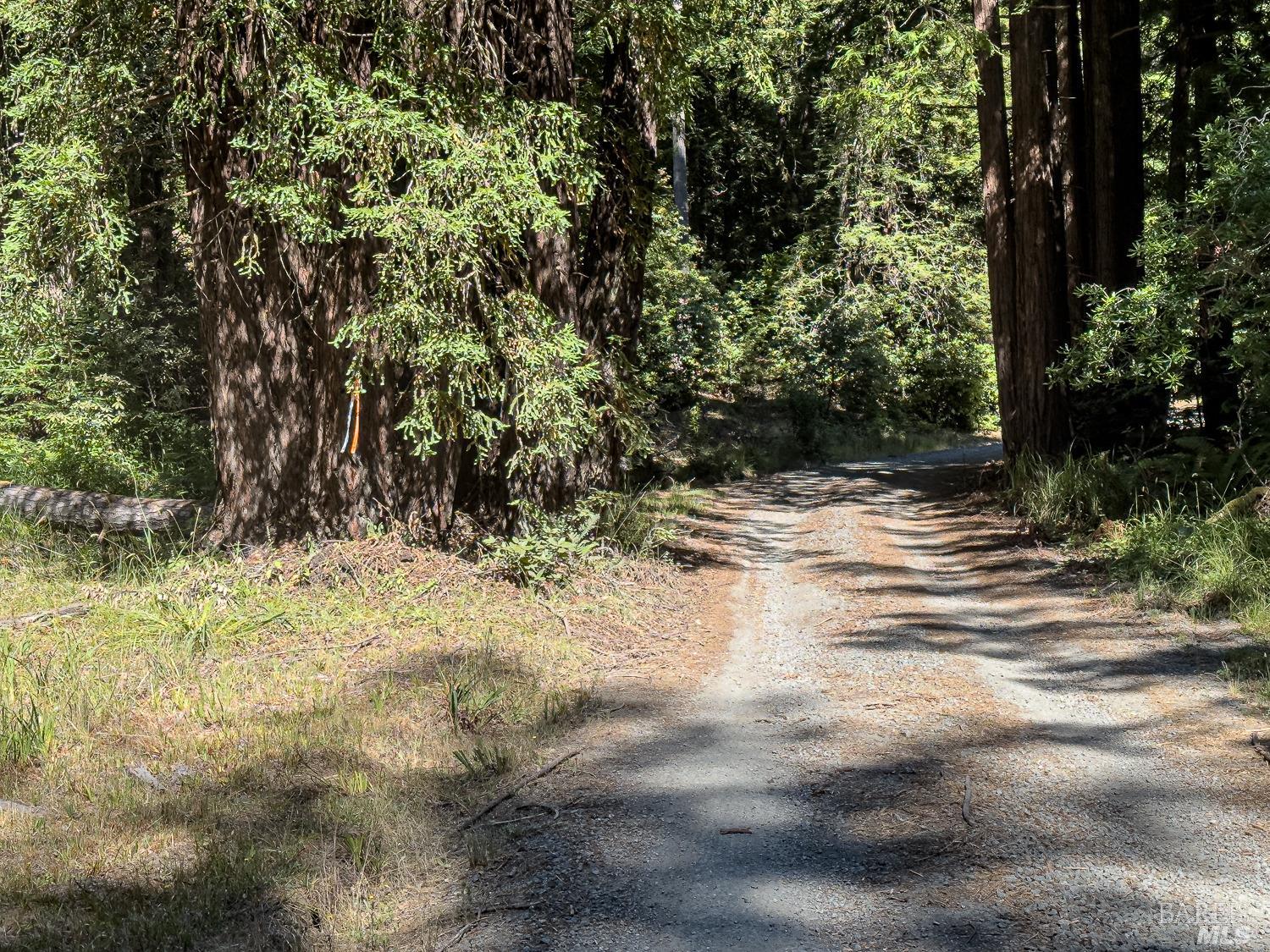 42180 Deer Trail The Sea Ranch, CA 95497 - Photo 21 of 35