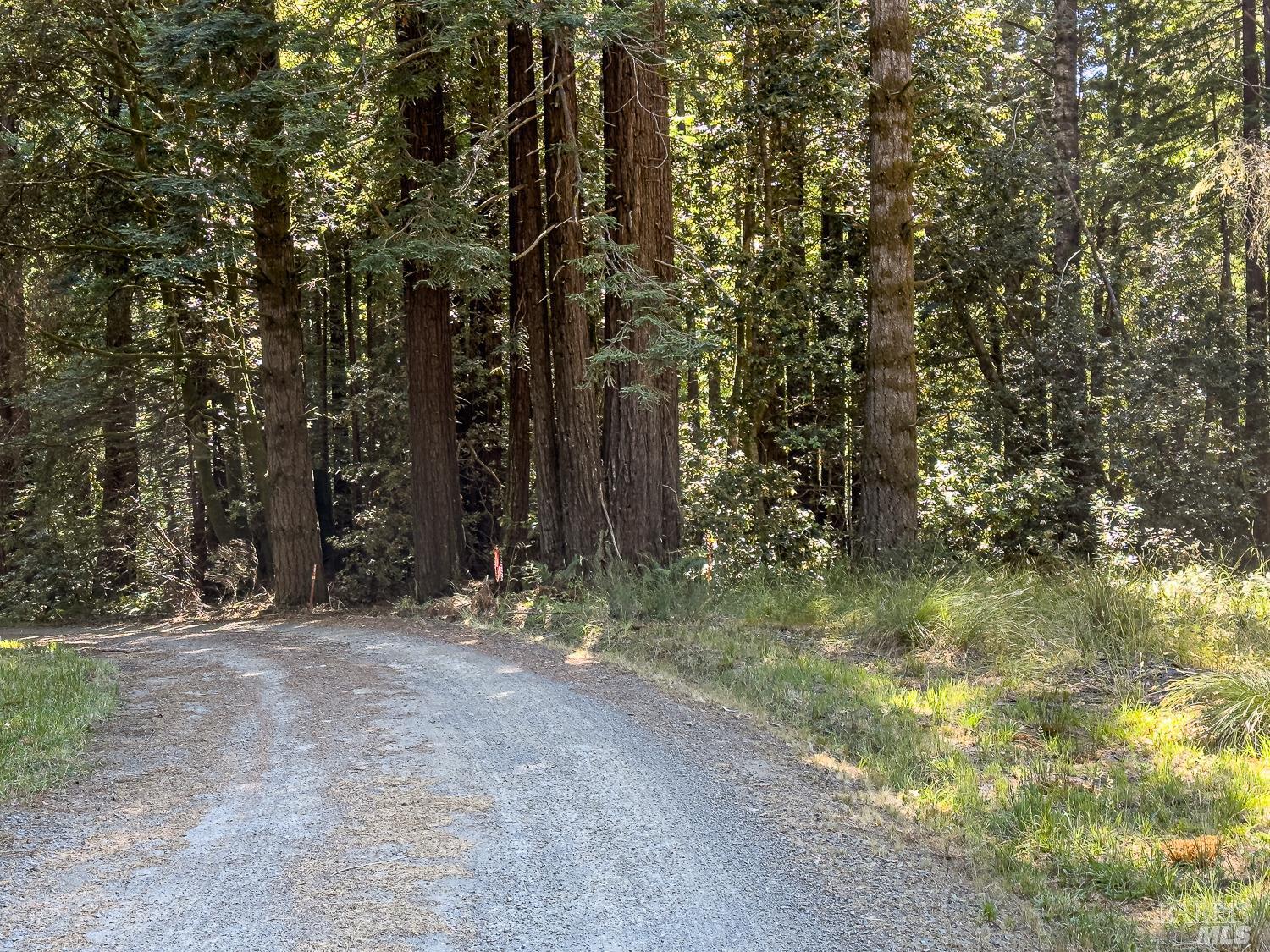 42180 Deer Trail The Sea Ranch, CA 95497 - Photo 22 of 35