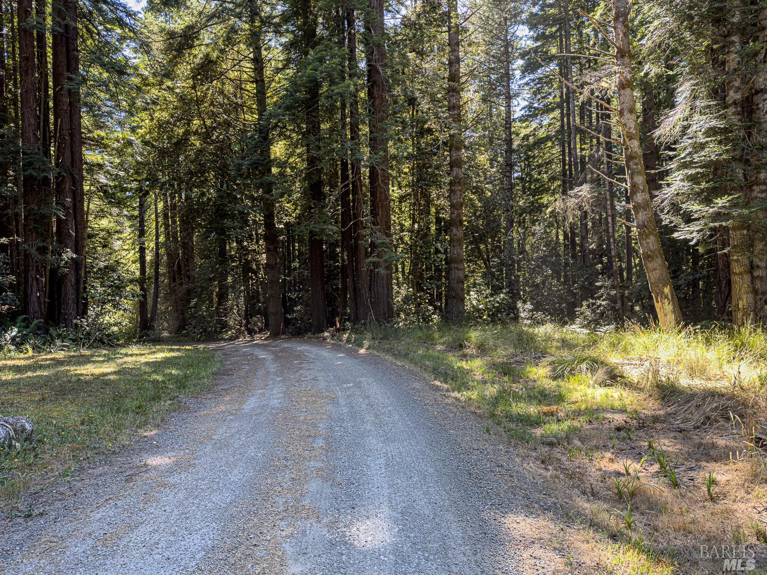 42180 Deer Trail The Sea Ranch, CA 95497 - Photo 23 of 35