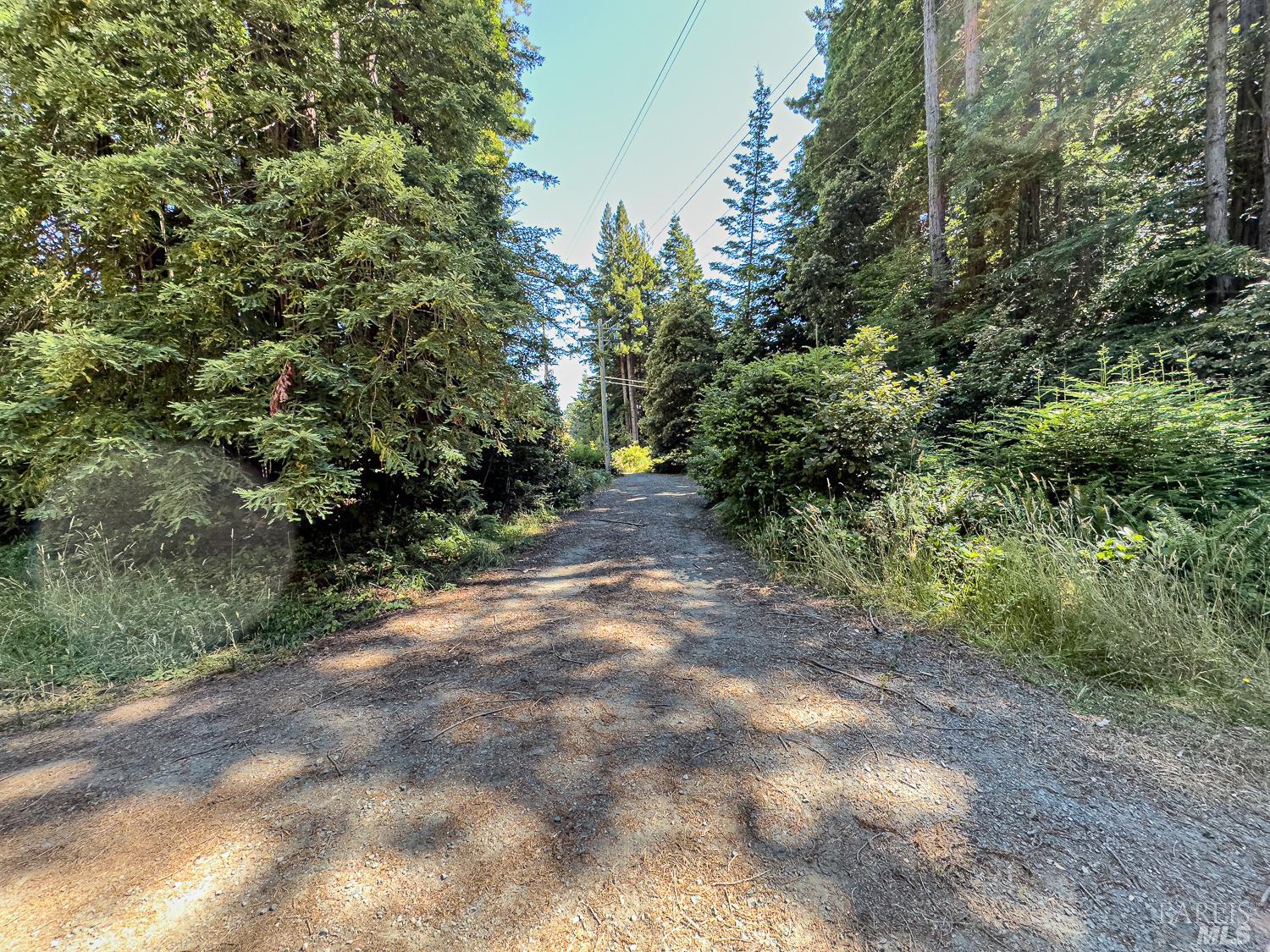 42180 Deer Trail The Sea Ranch, CA 95497 - Photo 27 of 35