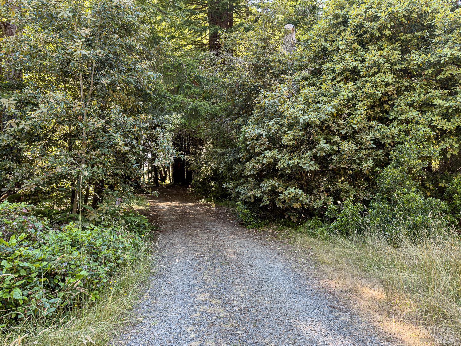42180 Deer Trail The Sea Ranch, CA 95497 - Photo 28 of 35