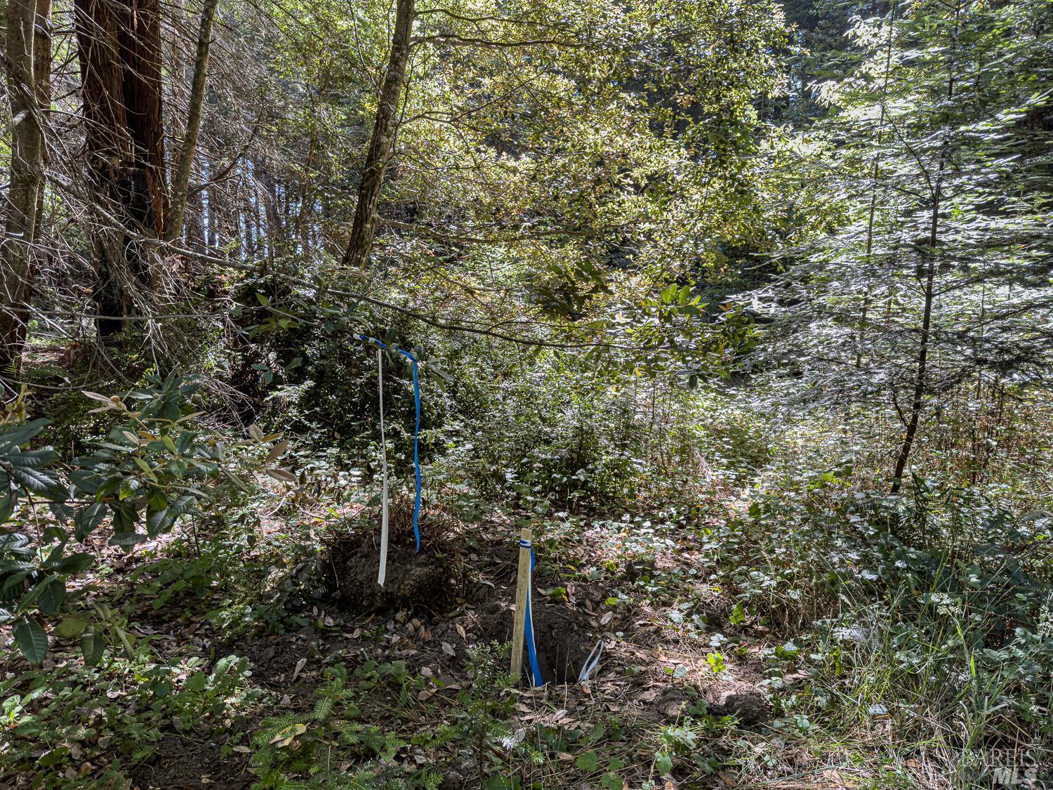 42180 Deer Trail The Sea Ranch, CA 95497 - Photo 29 of 35