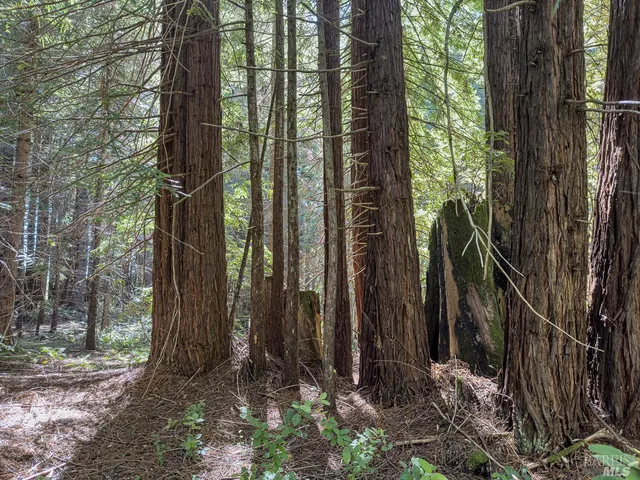 $169,000 | 42180 Deer Trail, The Sea Ranch, CA 95497