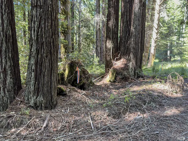 $169,000 | 42180 Deer Trail, The Sea Ranch, CA 95497