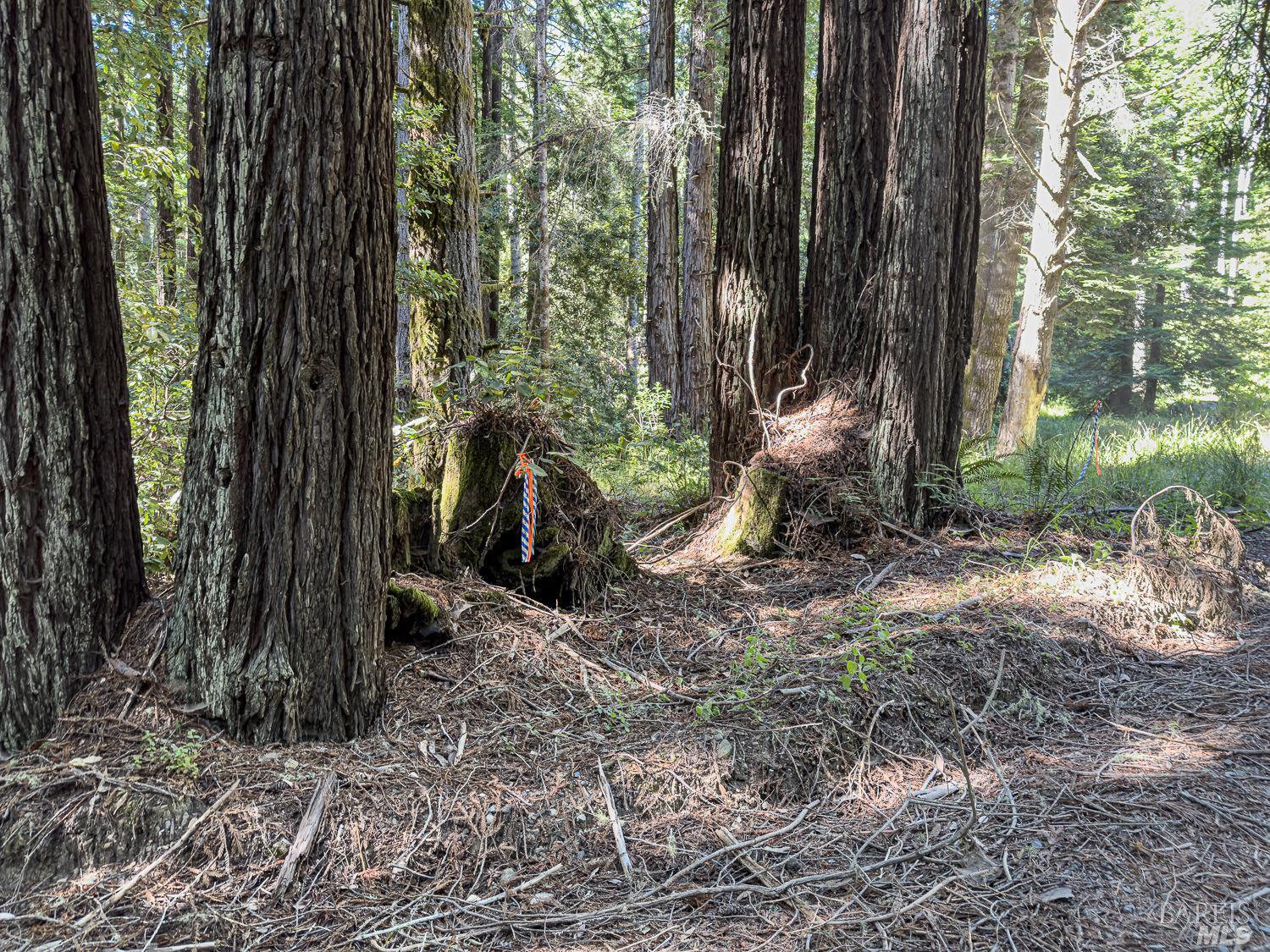 42180 Deer Trail The Sea Ranch, CA 95497 - Photo 5 of 35