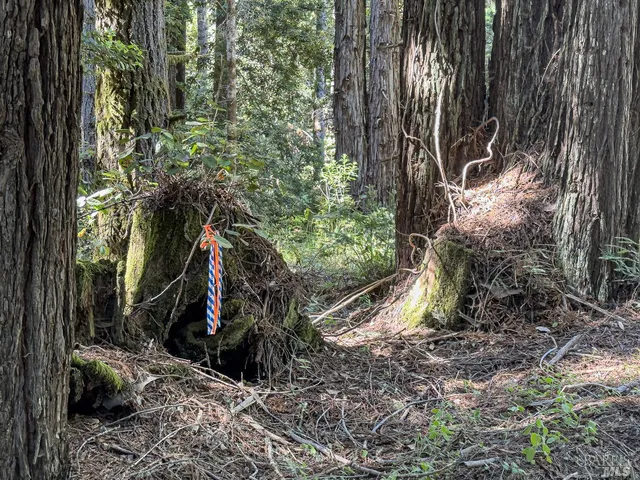 $169,000 | 42180 Deer Trail, The Sea Ranch, CA 95497