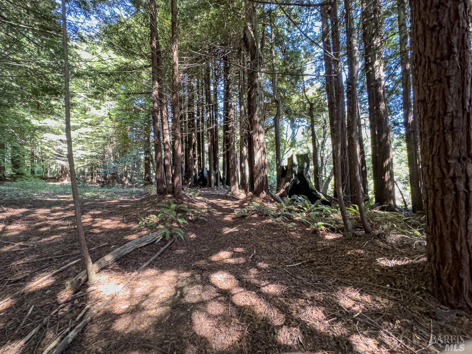 42180 Deer Trail The Sea Ranch, CA 95497 - Photo 7 of 35