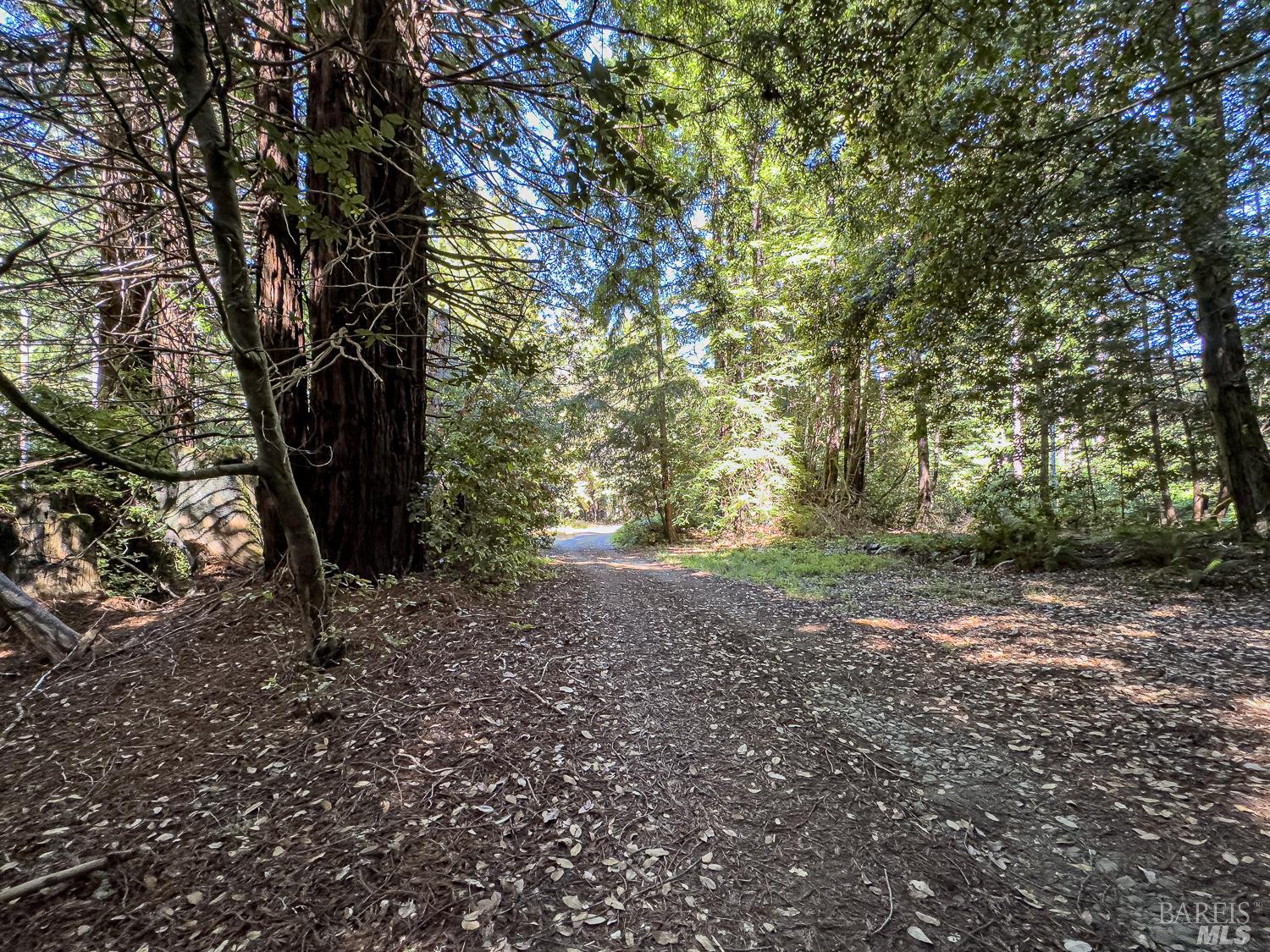 42180 Deer Trail The Sea Ranch, CA 95497 - Photo 8 of 35