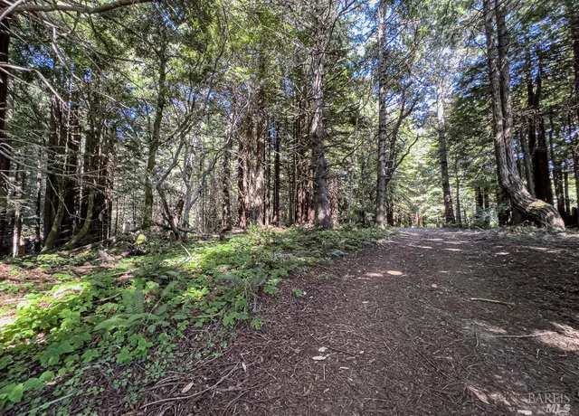 $169,000 | 42180 Deer Trail, The Sea Ranch, CA 95497